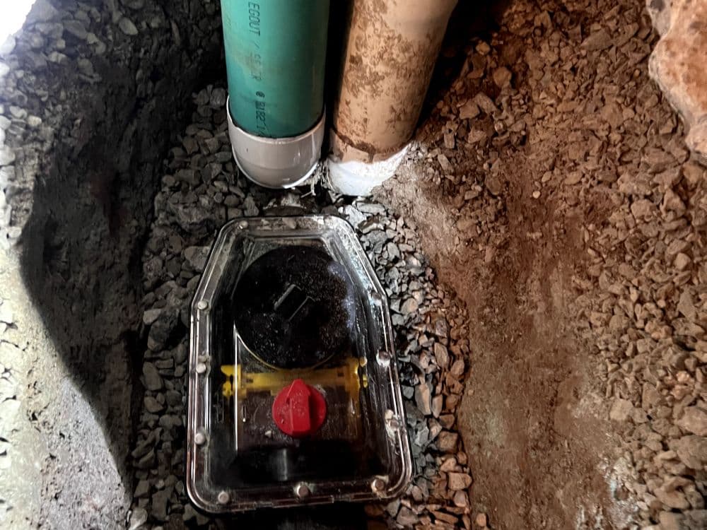 Backwater valve and drain line installation in a basement